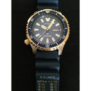 Citizen NY0096-12L